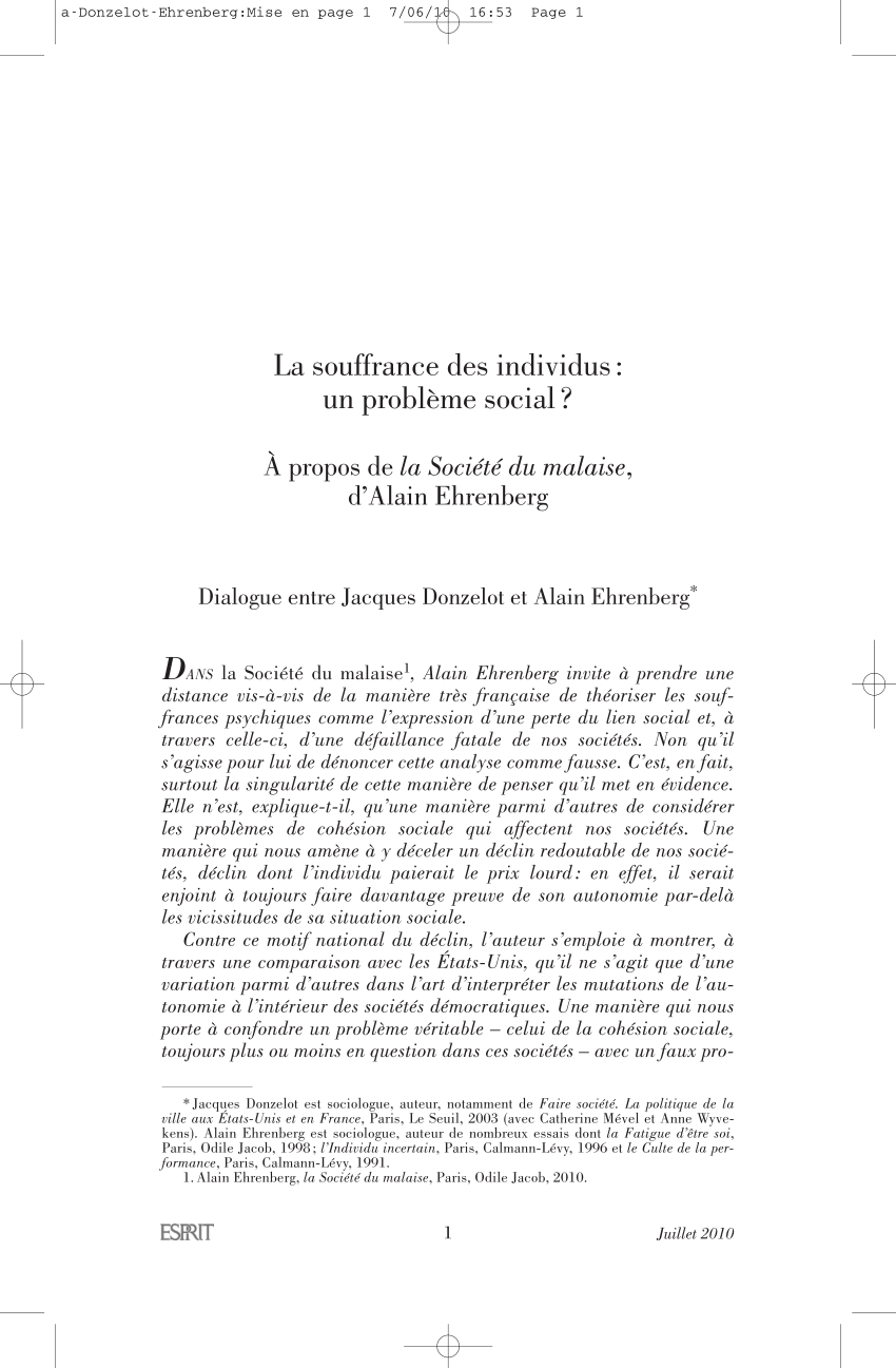 Pdf La Souffrance Des Individus Un Probleme Social