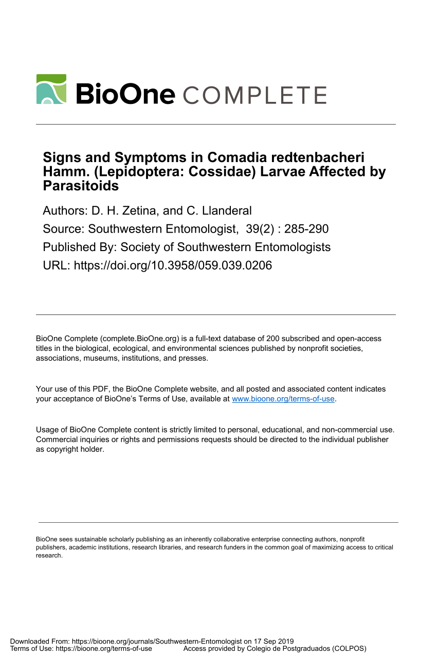 Download Pdf Signs And Symptoms In Comadia Redtenbacheri Hamm Lepidoptera Cossidae Larvae Affected By Parasitoids