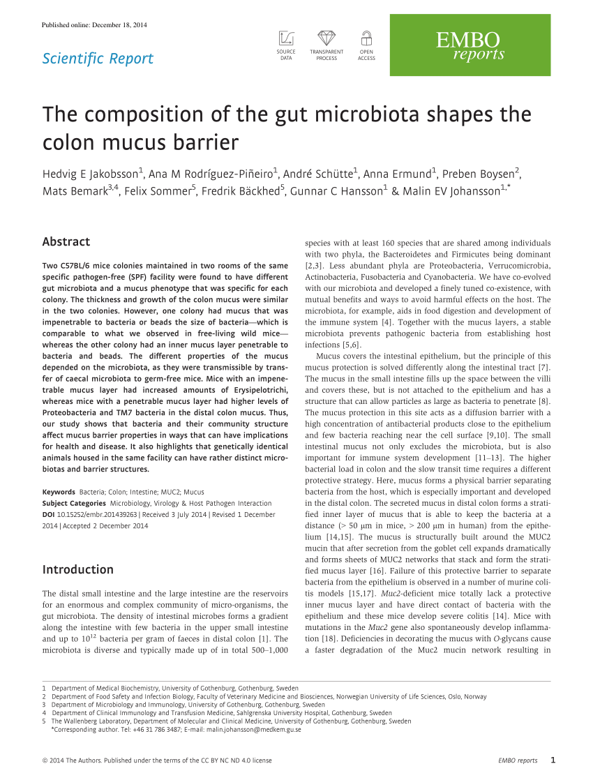 (PDF) The composition of the gut microbiota shapes the colon mucus barrier
