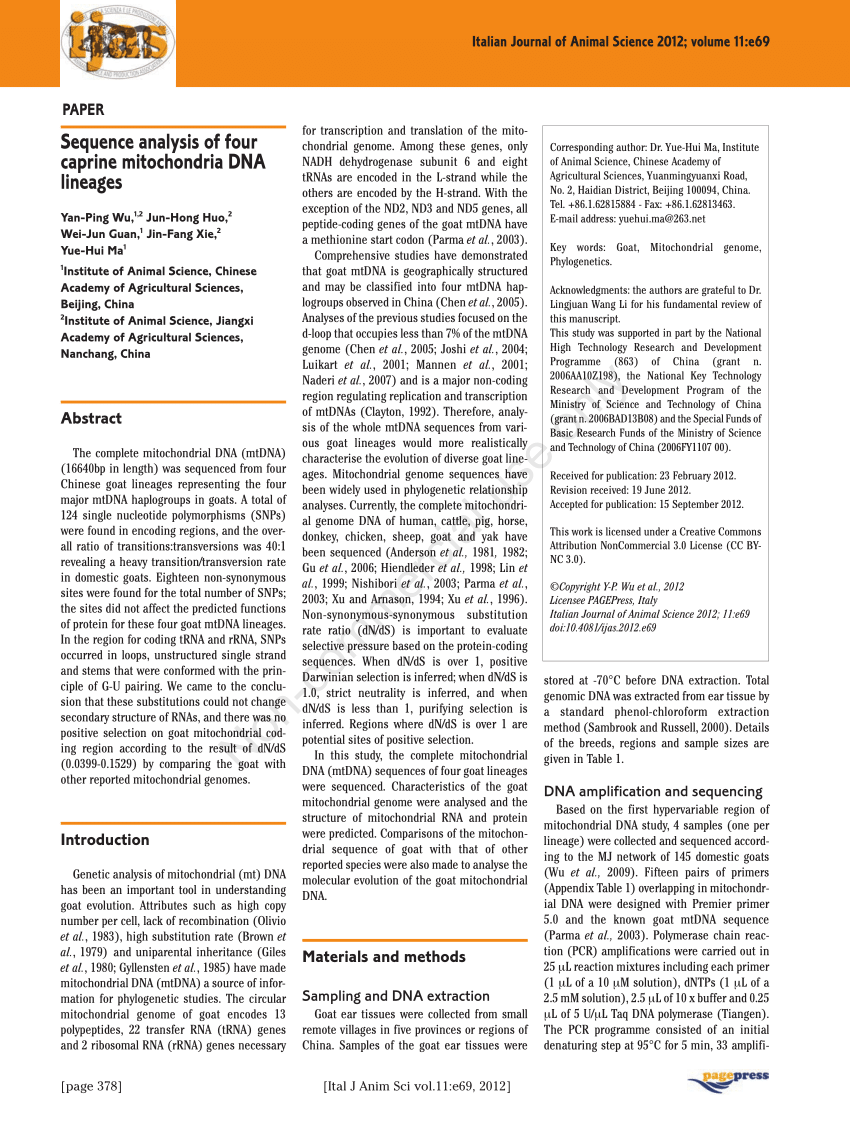 mitochondrial dna sequence analysis