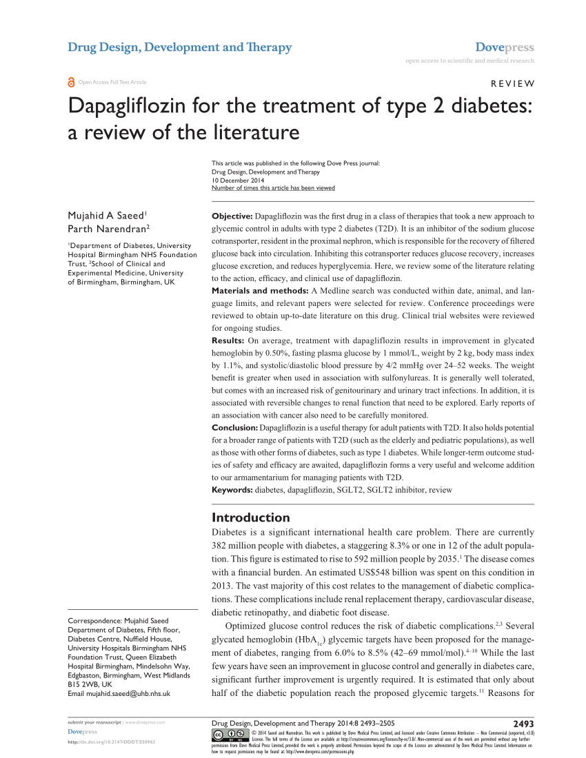 literature review diabetes type 2