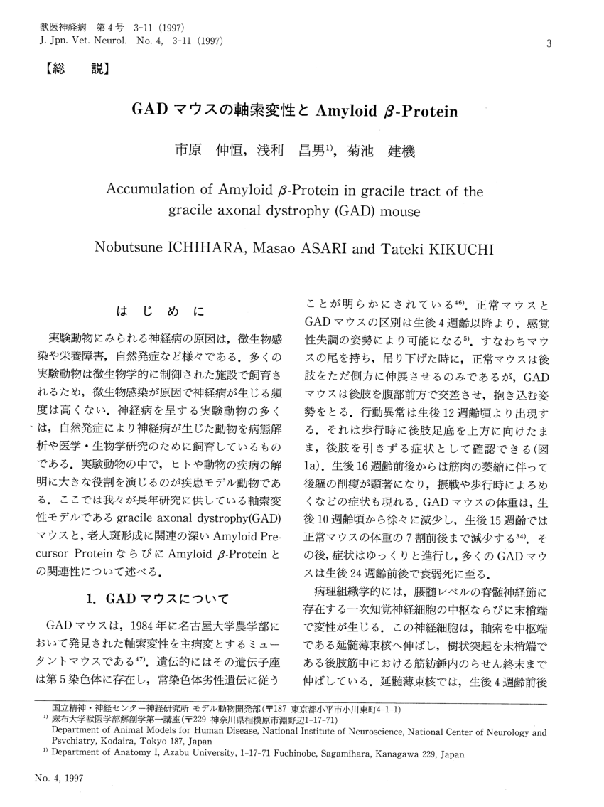 Pdf Gadマウスの軸索変性とamyloid B Protein