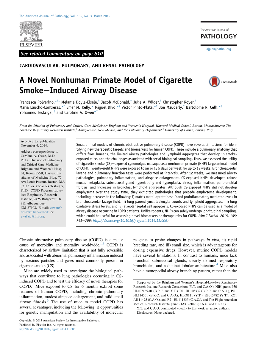 Pdf A Novel Nonhuman Primate Model Of Cigarette Smoke Induced Airway Disease