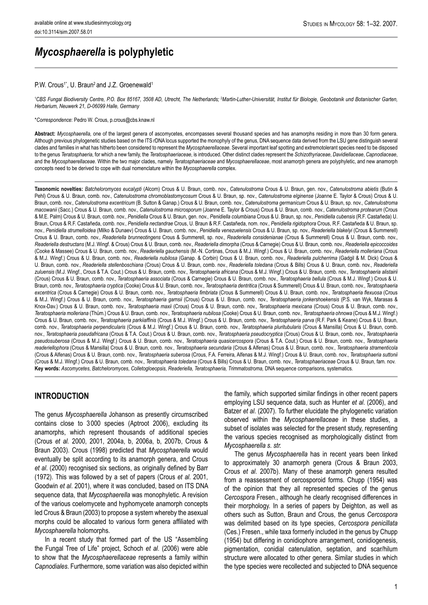 Pdf Mycosphaerella Is Polyphyletic