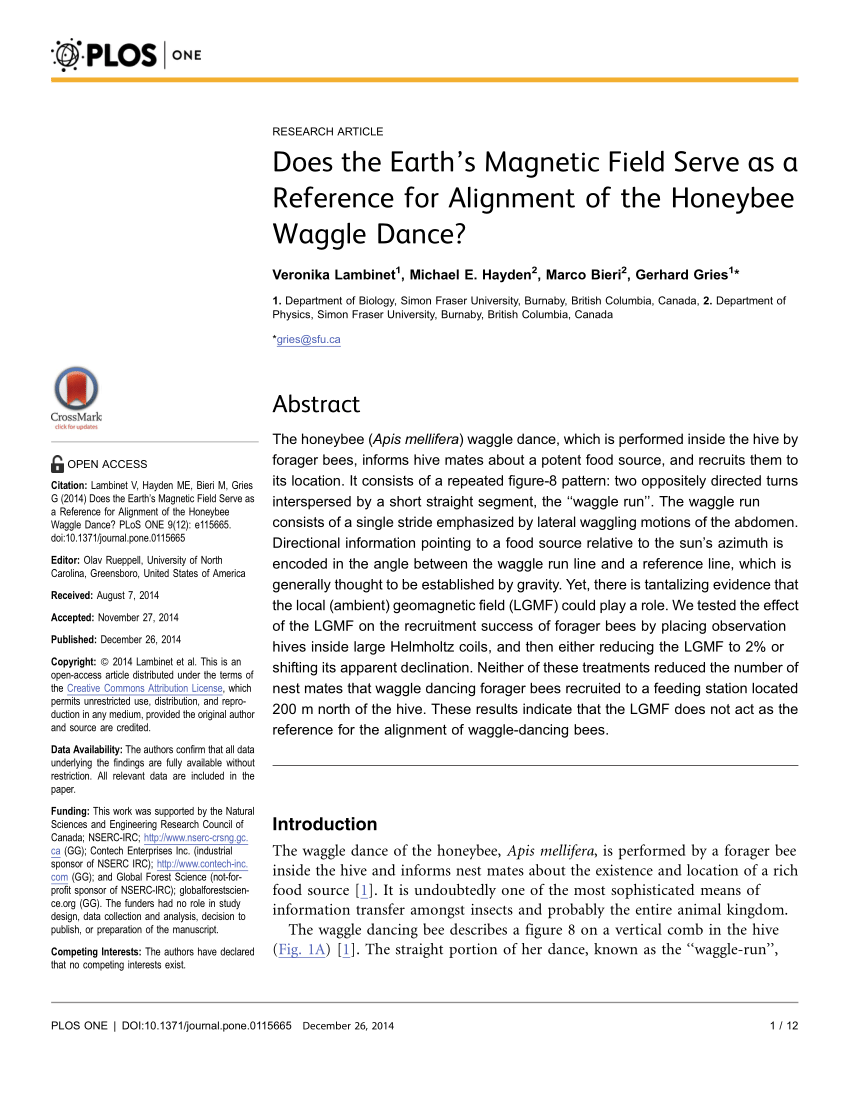 PDF) Does the Earth's Magnetic Field Serve as a Reference for