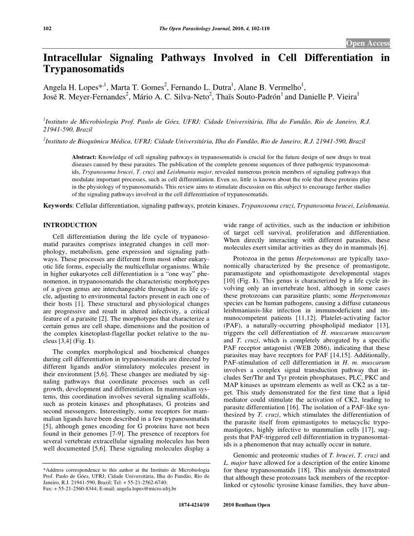 Pdf Cell Signaling During Trypanosoma Cruzi Development In Triatominae