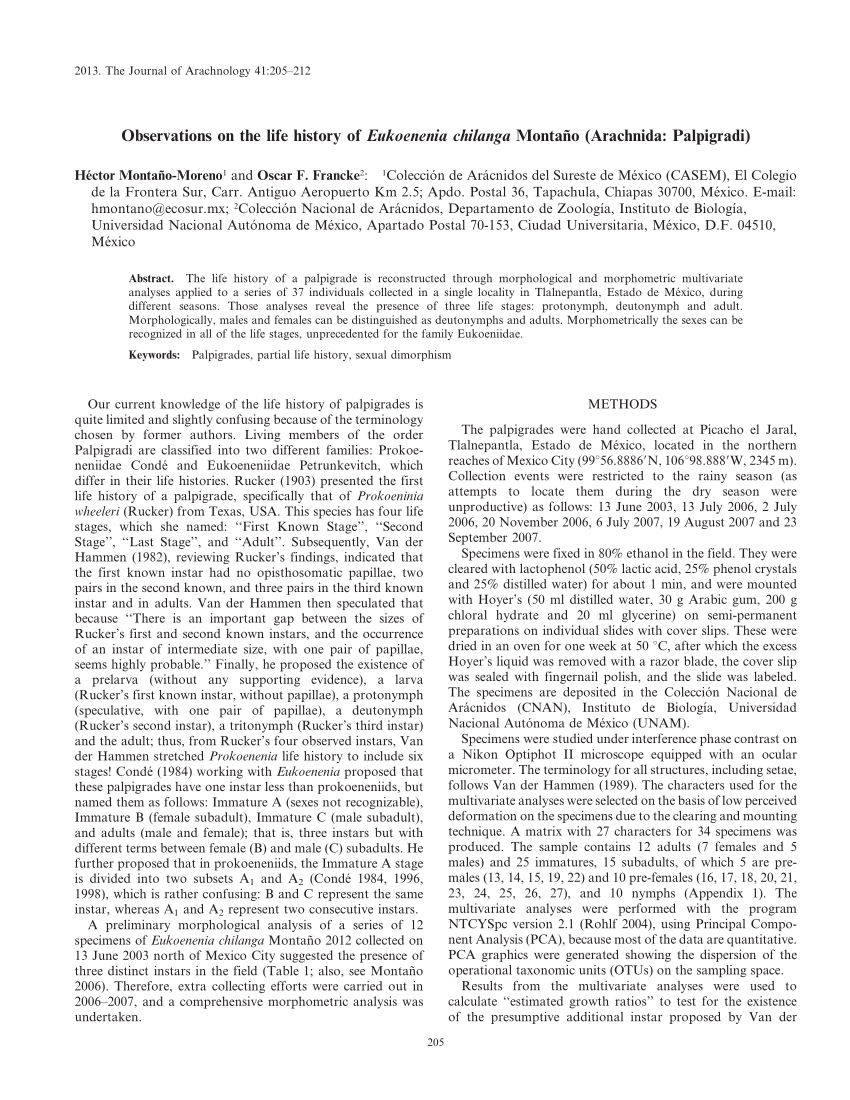 Pdf Observations On The Life History Of Eukoenenia Chilanga Montano Arachnida Palpigradi