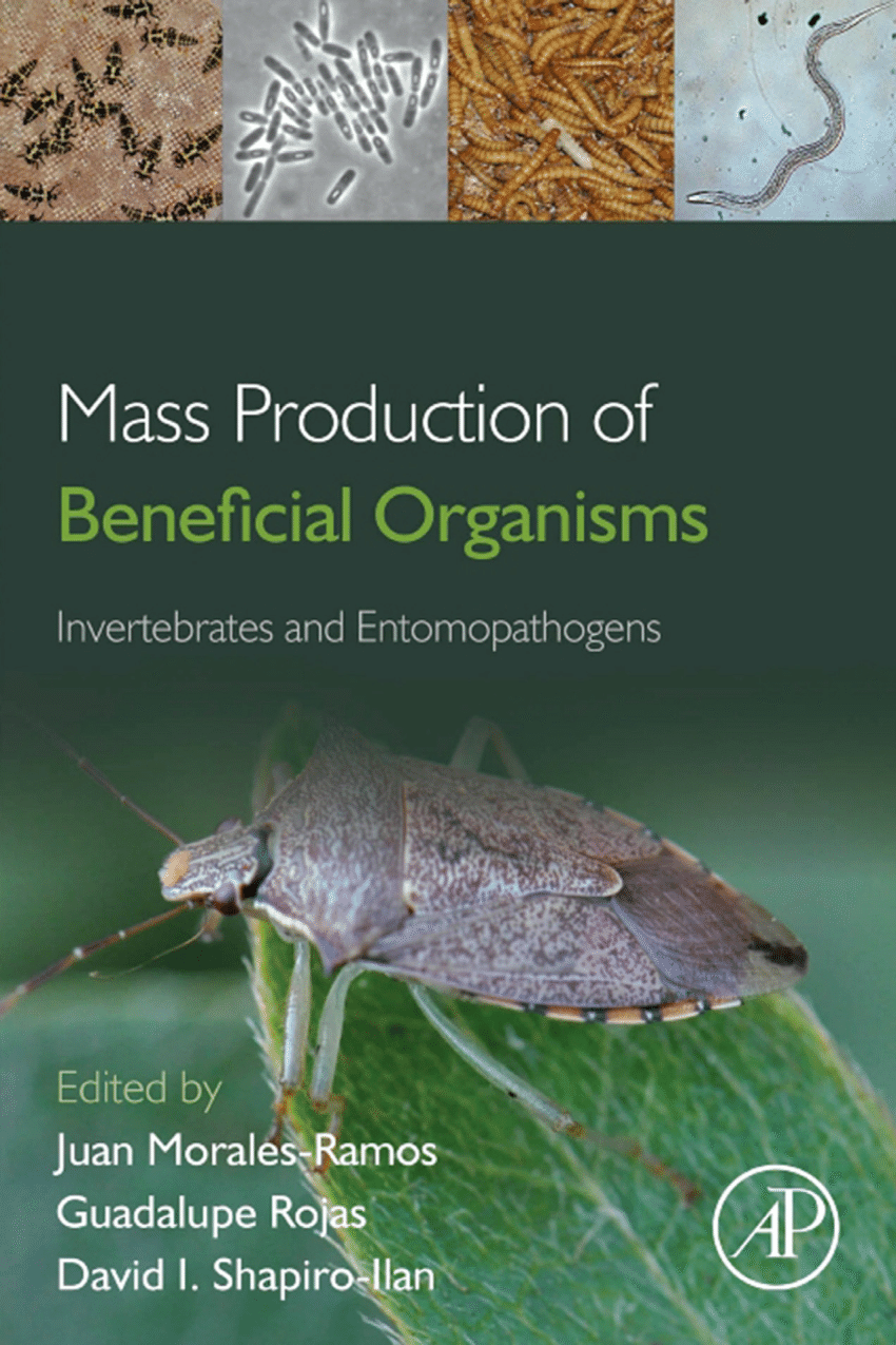 PDF) Mass Production of Beneficial Organisms, Invertebrates and  Entomopathogens