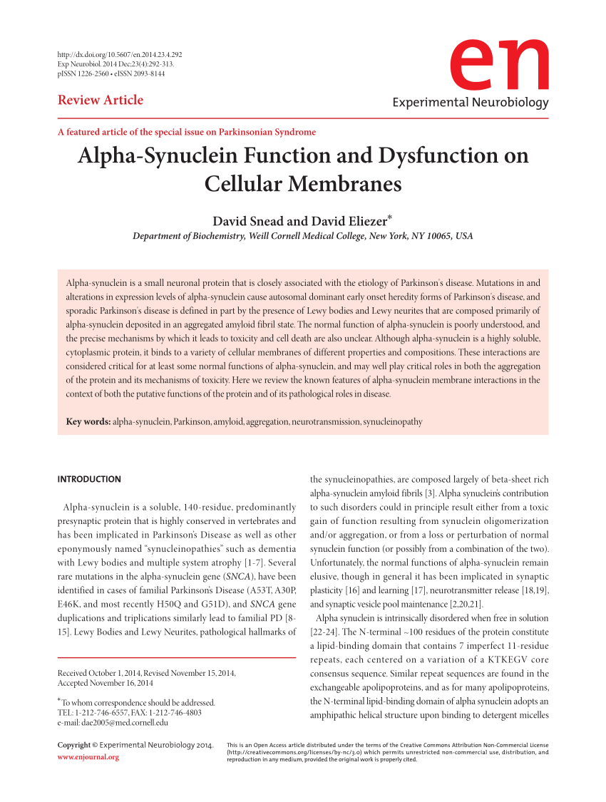 PDF) Alpha-Synuclein Function and Dysfunction on Cellular Membranes