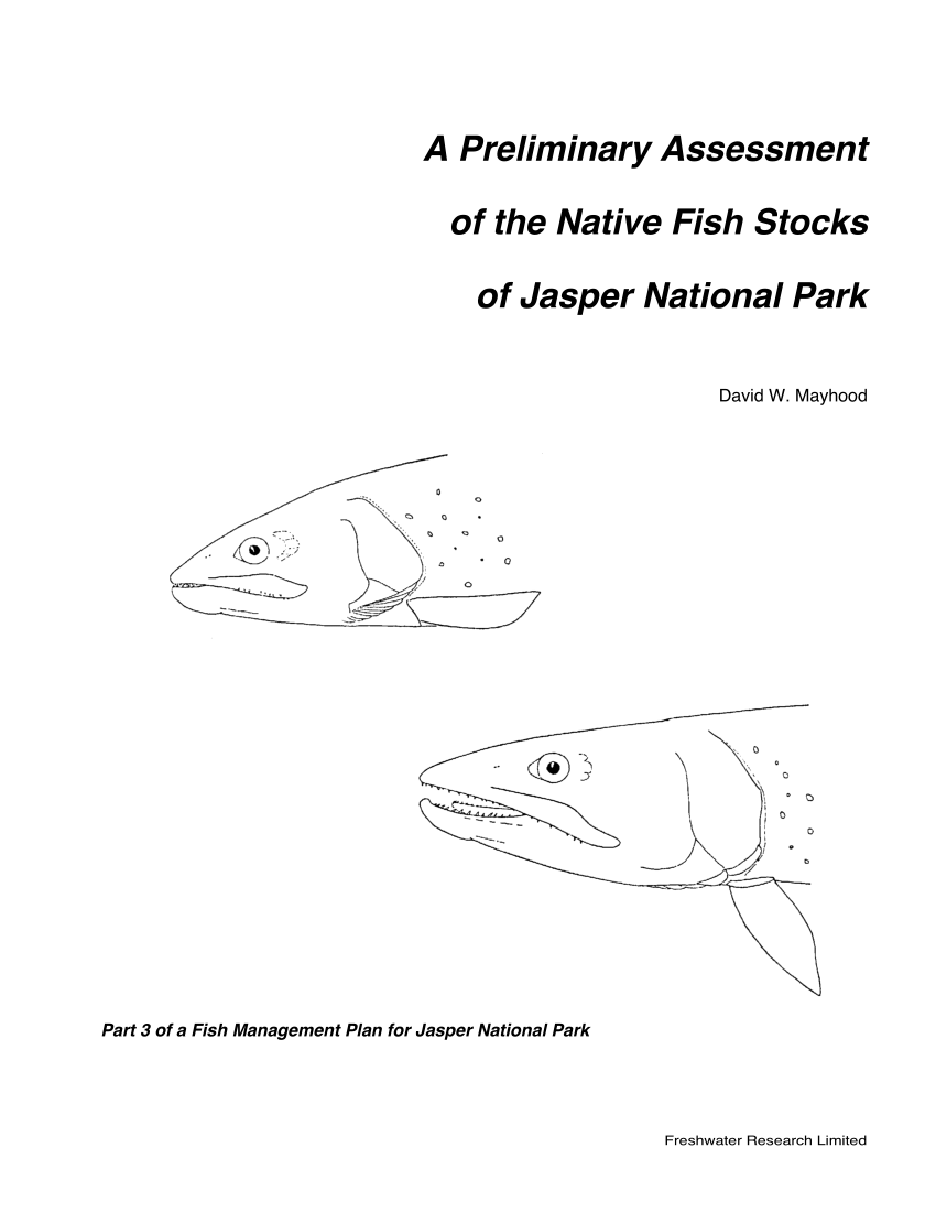 PDF) A preliminary assessment of the native fish stocks of Jasper National  Park. Part 3 of a fish management plan for Jasper National Park.