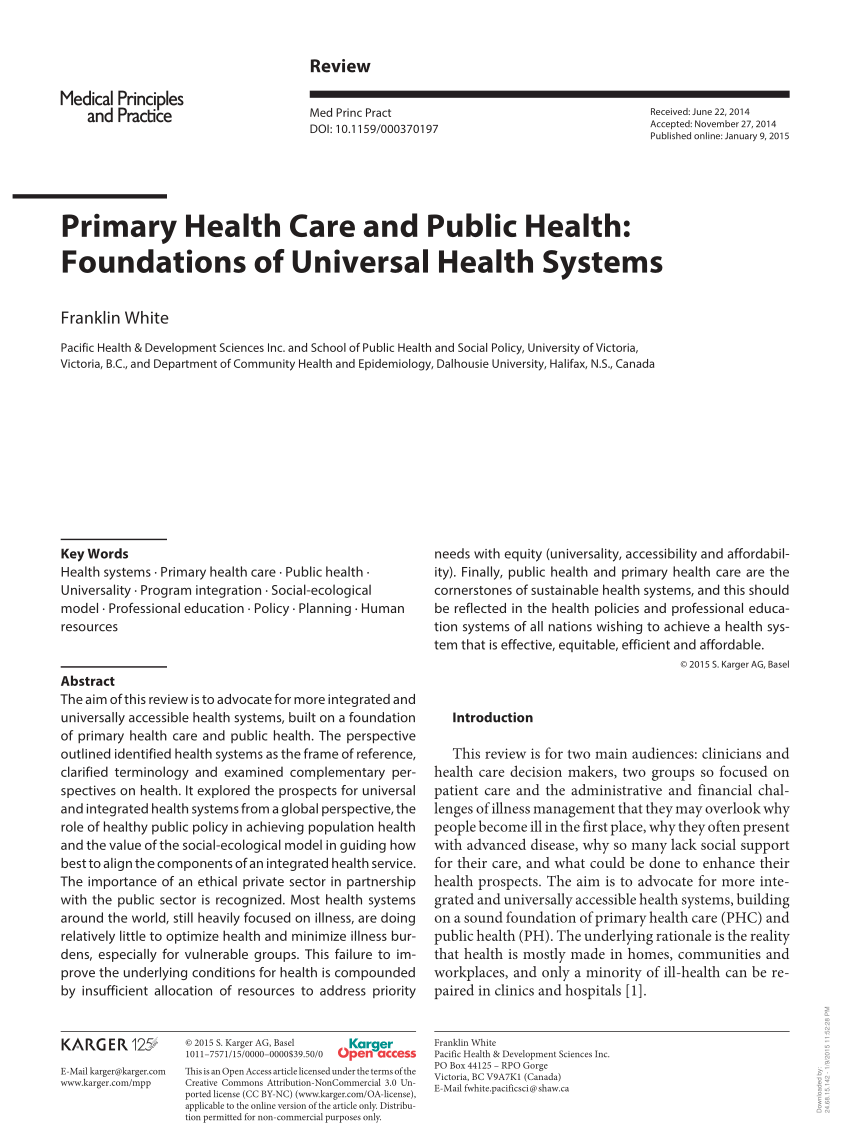 literature review on primary health care pdf