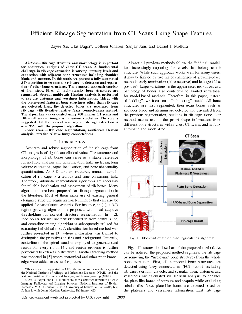PDF) Efficient Ribcage Segmentation from CT Scans Using Shape Features