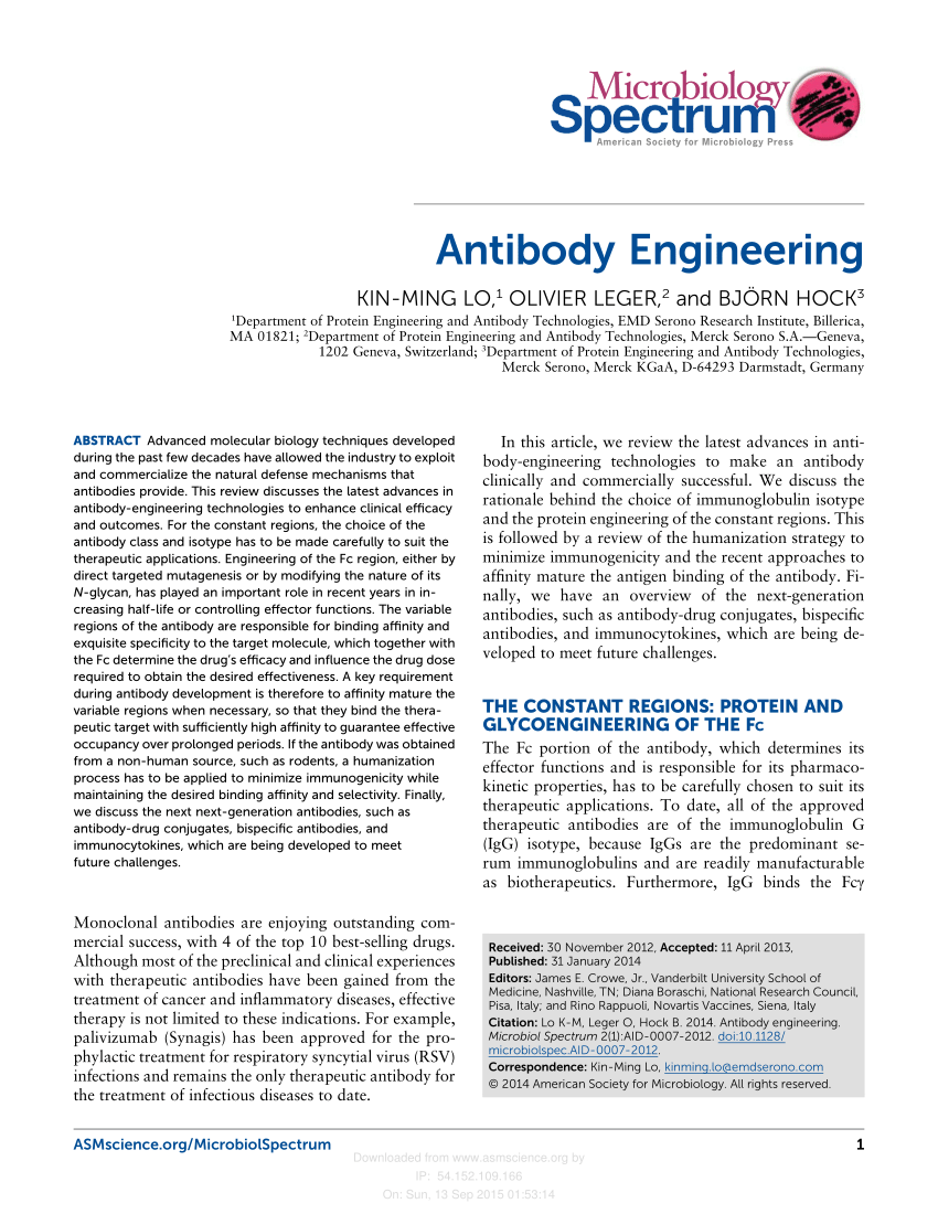 (PDF) Antibody Engineering