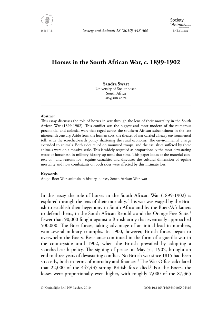 essay on the south african war
