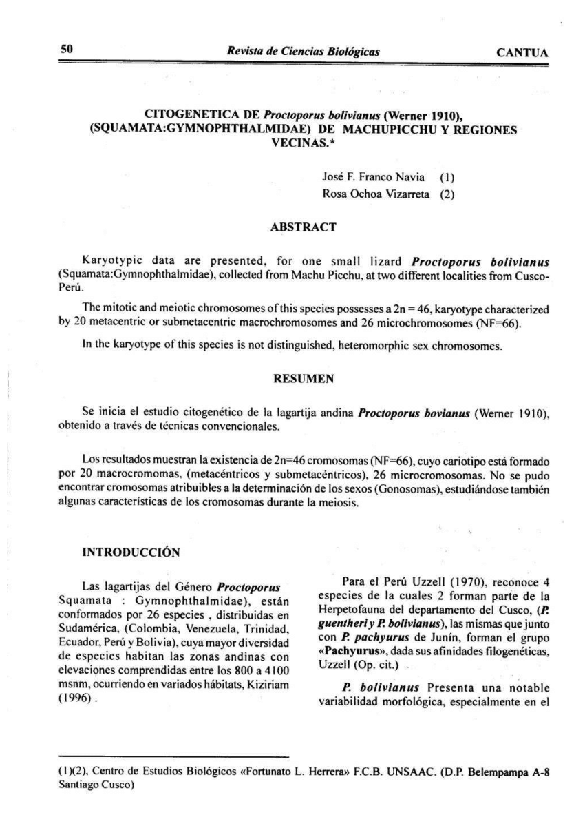 (PDF) CITOGENETICA DE Proctoporus bolivianus Werner 1910 ( SQUAMATA ...