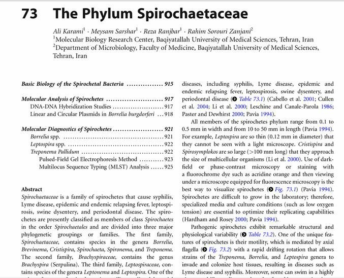 Pdf The Phylum Spirochaetaceae