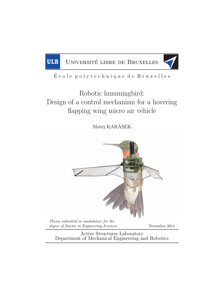 nano hummingbird drone