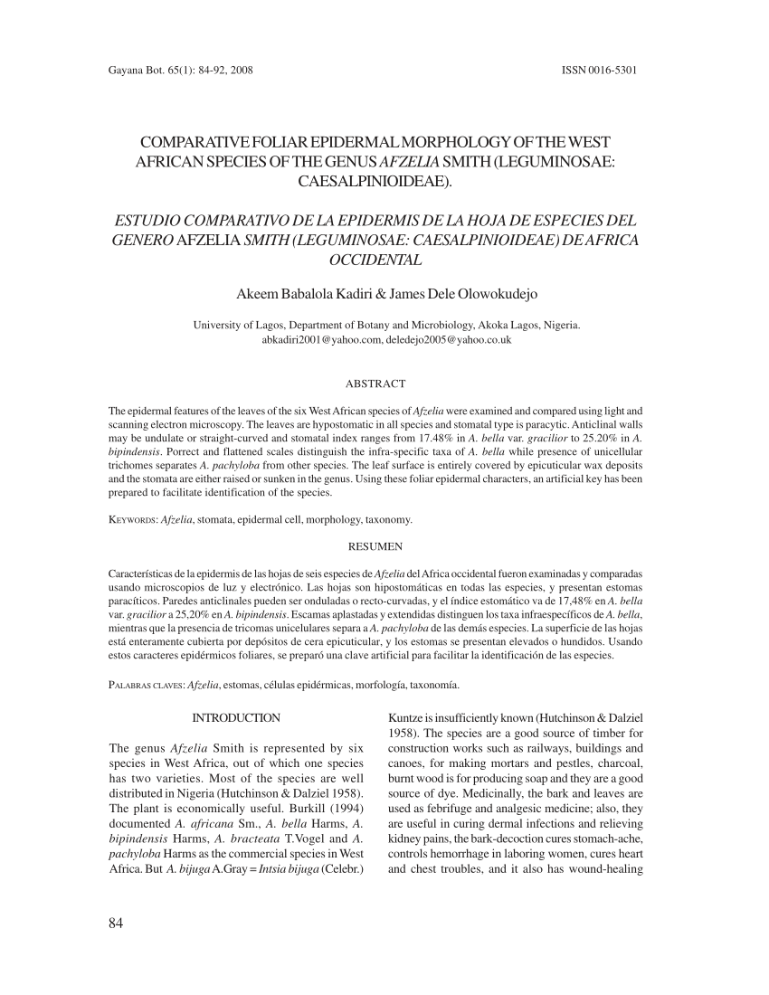 Epidermis De La Especie Afzelia Bijuga En Africa Occidental A Download Scientific Diagram