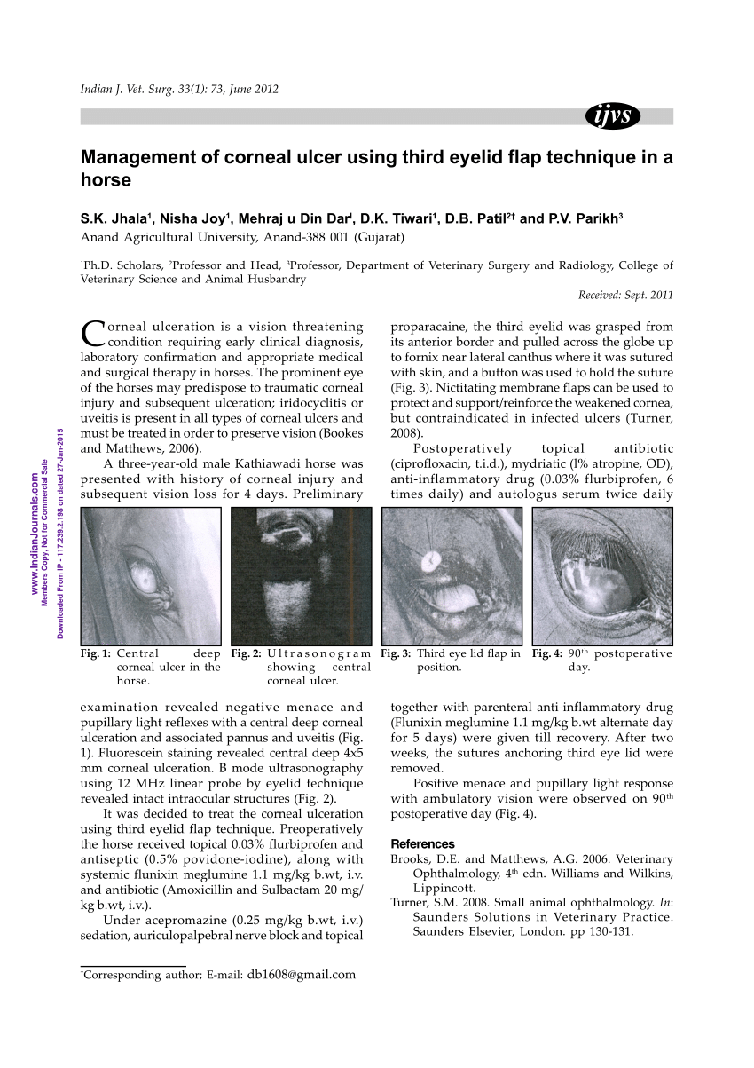 Pdf Management Of Corneal Ulcer Using Third Eyelid Flap Technique In A Horse