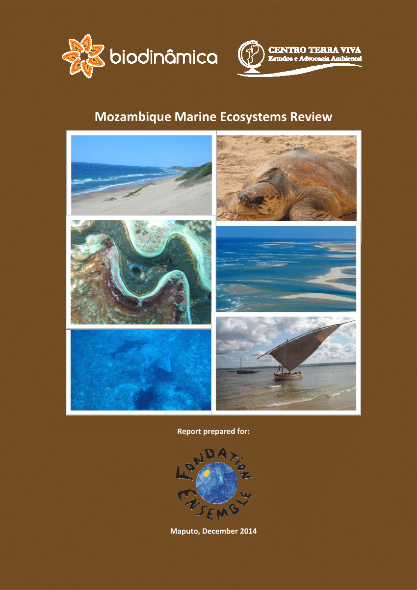 PDF) Mozambique marine ecosystems review