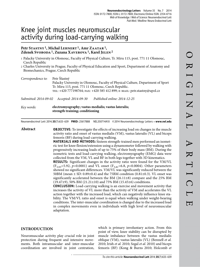 Knee muscle interaction during gait, by Sherney