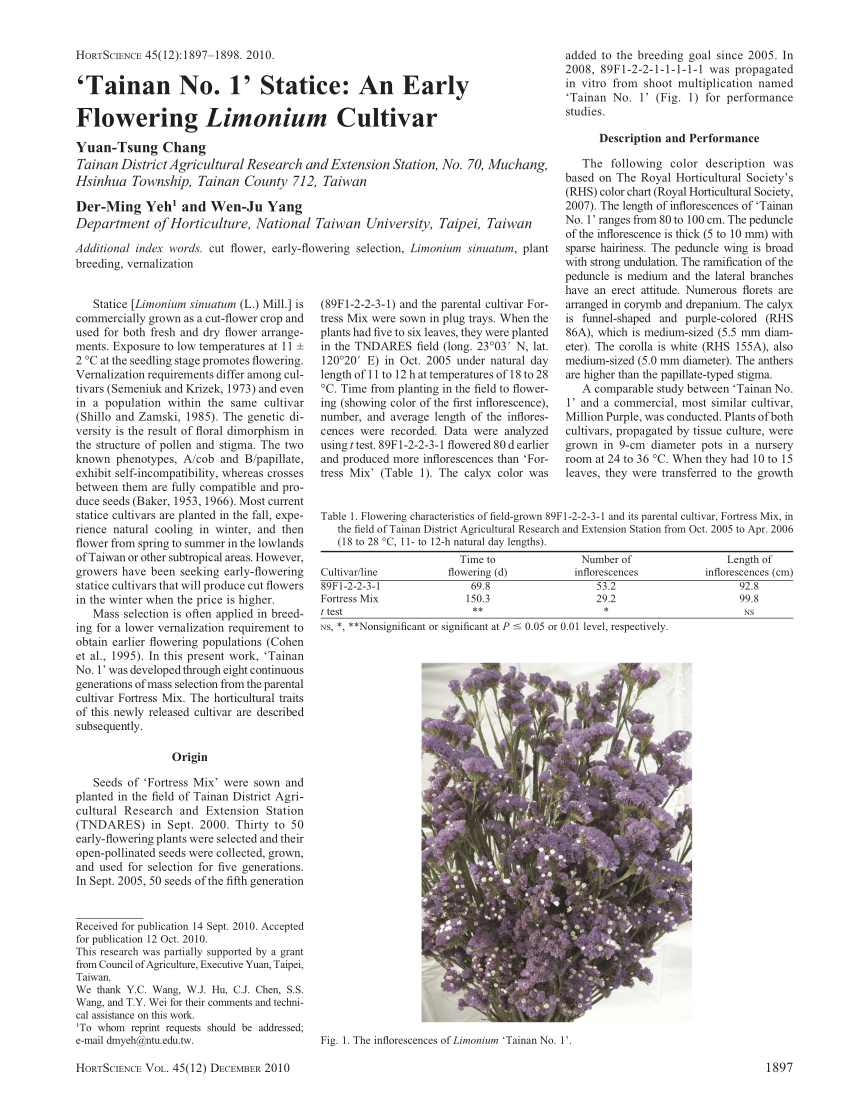 Pdf Tainan No 1 Statice An Early Flowering Limonium Cultivar