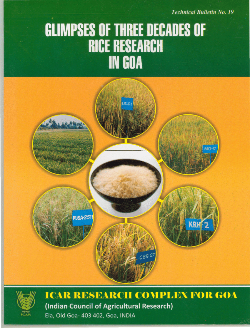importance of rice research paper