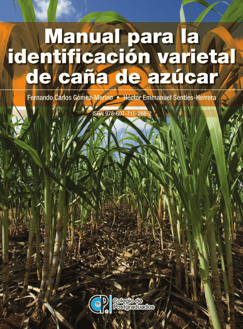 (PDF) Manual para la Identificación Varietal de Caña de Azúcar