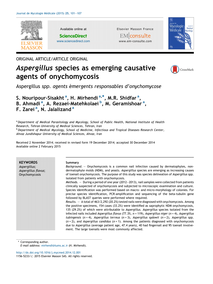 Aspergillus terreus complex: an emergent opportunistic agent of  Onychomycosis - Fernández - 2013 - Mycoses - Wiley Online Library