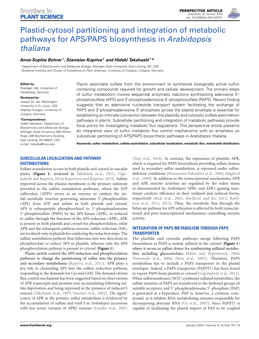 Pdf Plastid Cytosol Partitioning And Integration Of Metabolic Pathways For Apspaps