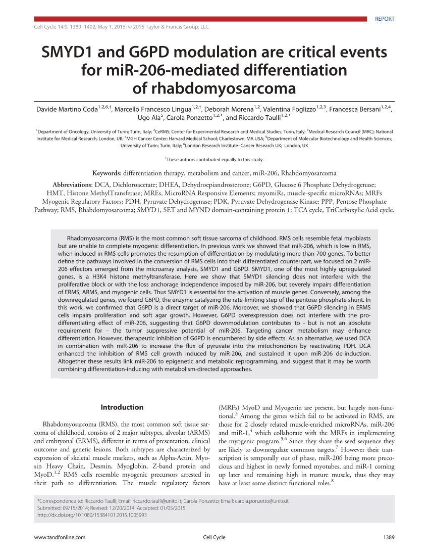 PDF) Evidence of myomiR regulation of the pentose phosphate pathway during  mechanical load‐induced hypertrophy