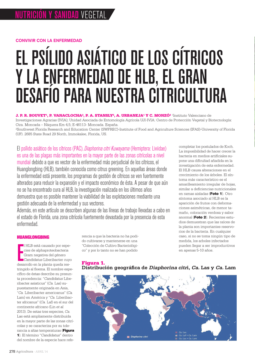 Pdf El Psilido Asiatico De Los Citricos Y La Enfermedad De Hlb El Gran Desafio Para Nuestra Citricultura