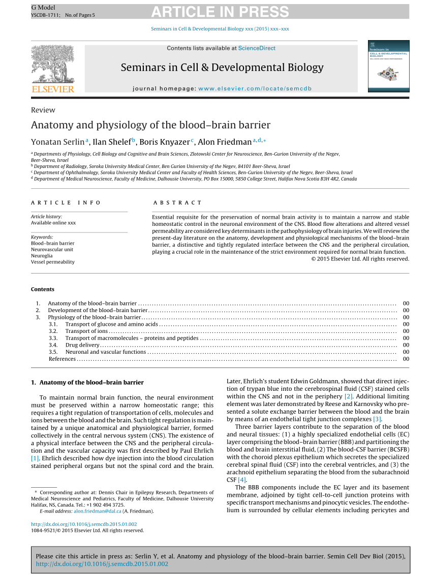 Pdf Anatomy And Physiology Of The Blood Brain Barrier