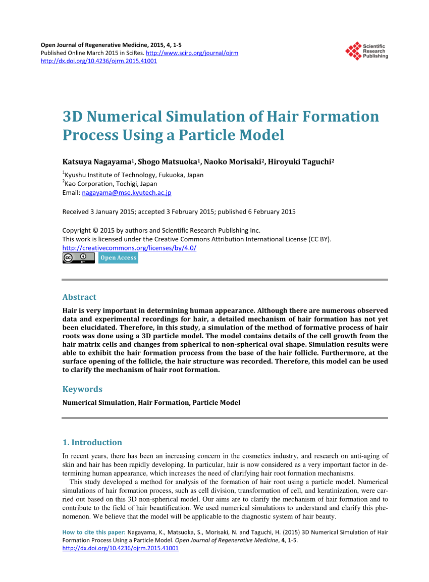 Pdf 3d Numerical Simulation Of Hair Formation Process Using