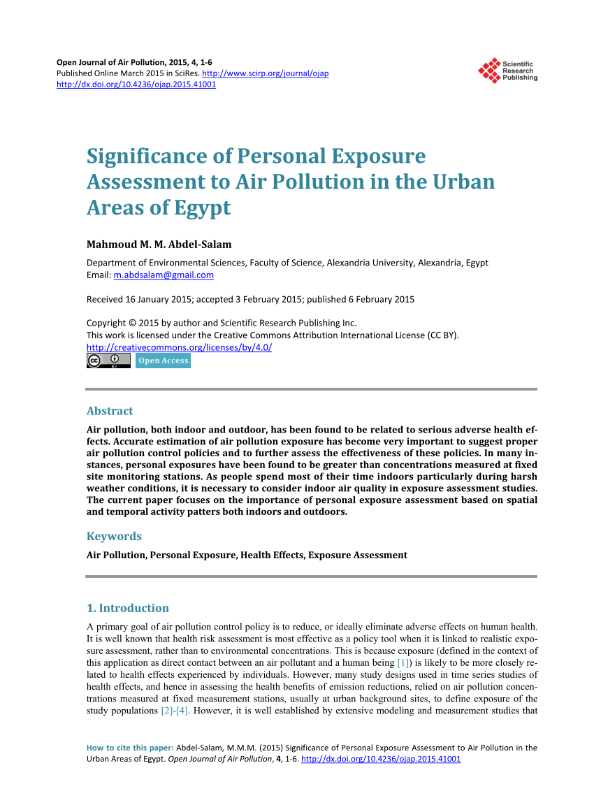 essay about pollution in egypt