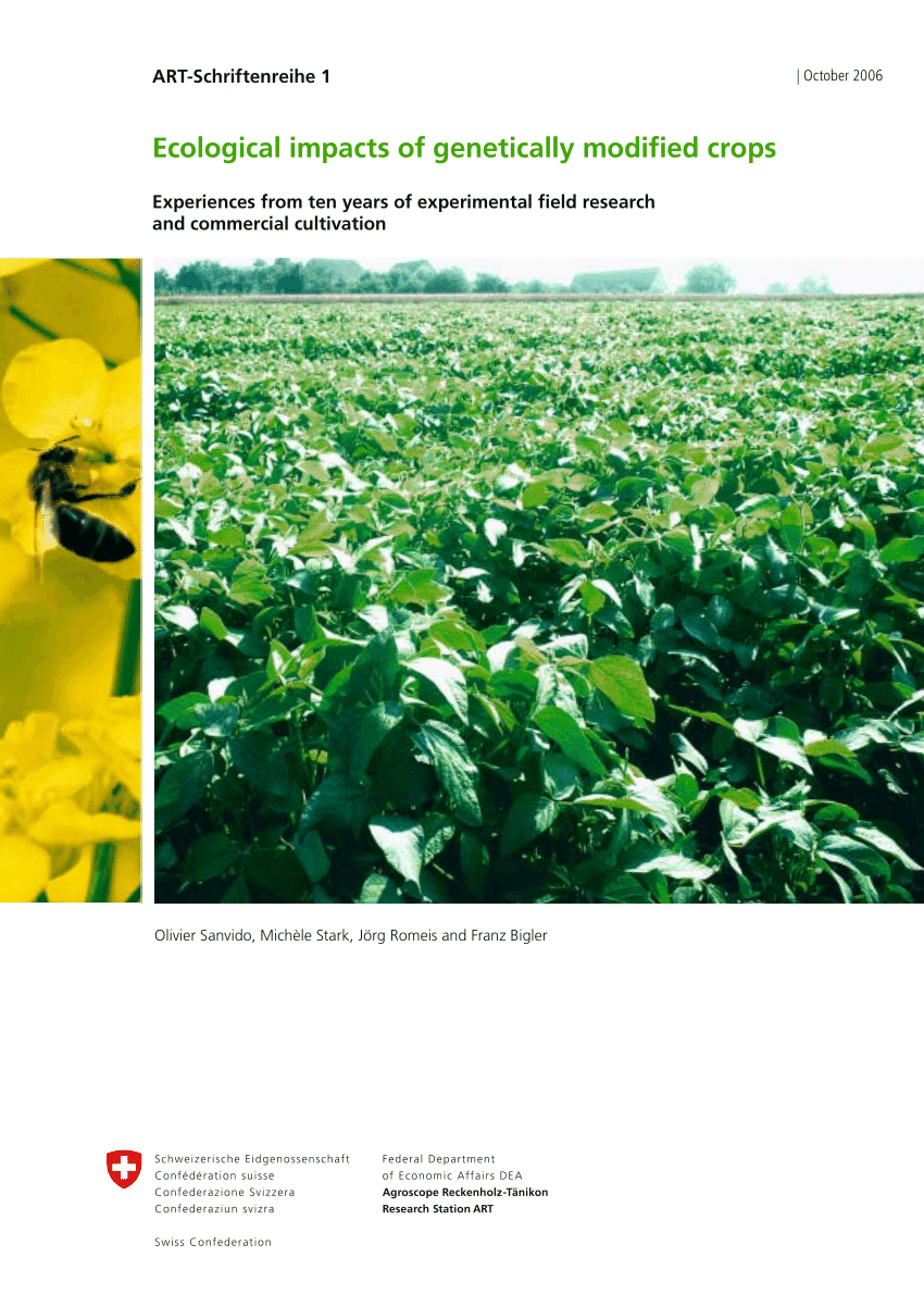 research paper on gm crops