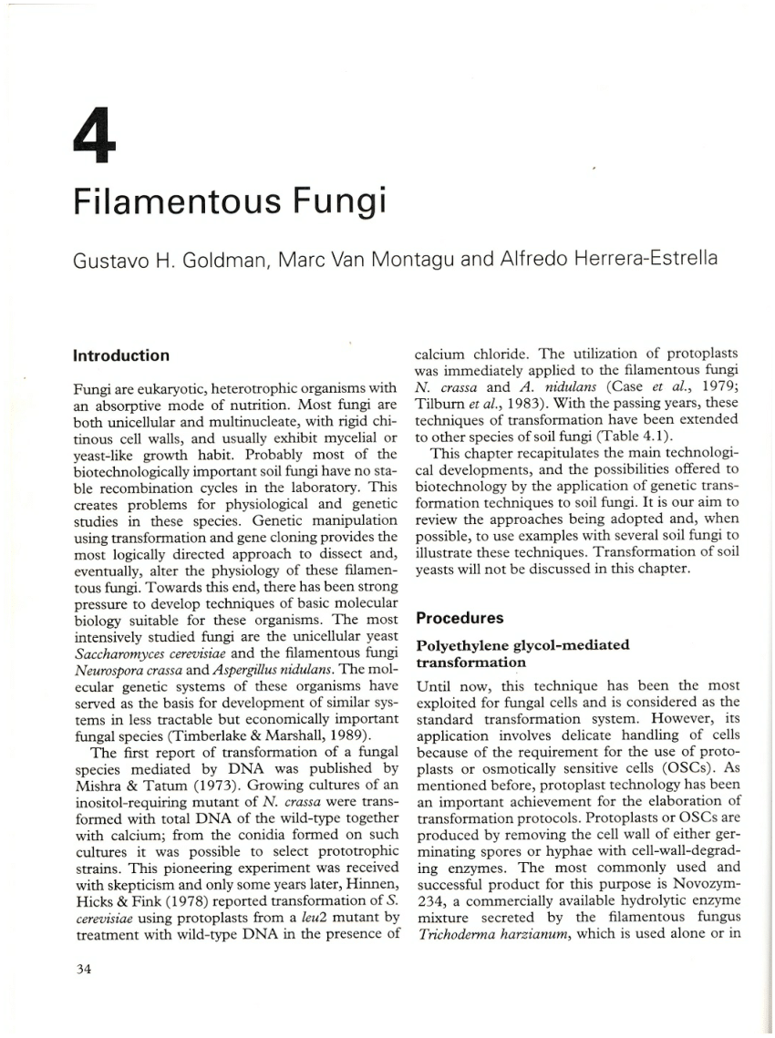 (PDF) Transformation of filamentous fungi