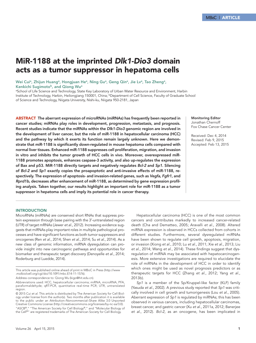 Pdf Mir 1188 At The Imprinted Dlk1 Dio3 Domain Acts As A Tumor Suppressor In Hepatoma Cells