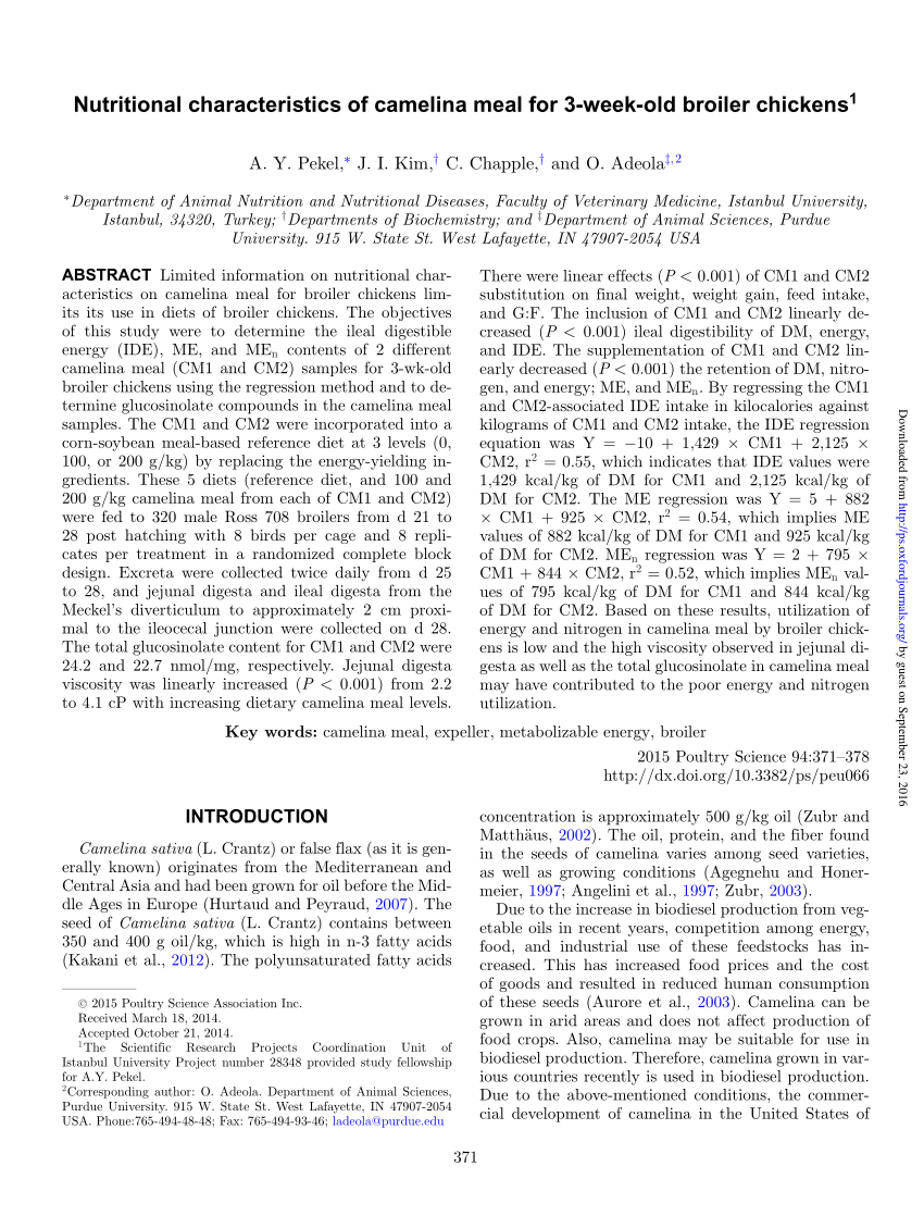 A00-415 Fragenkatalog