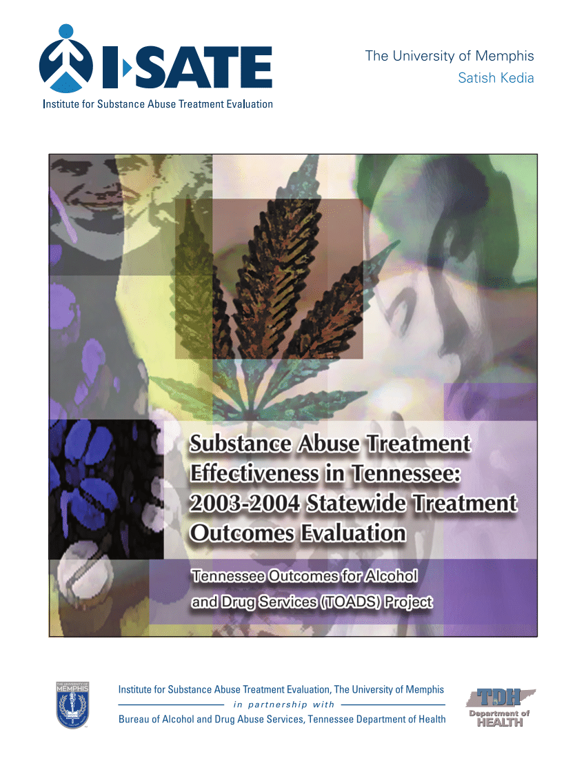 (PDF) Substance Abuse Treatment Effectiveness in Tennessee: 2003-2004