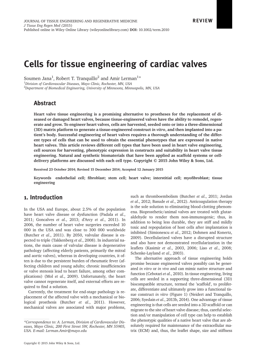 (PDF) Cells for tissue engineering of cardiac valves