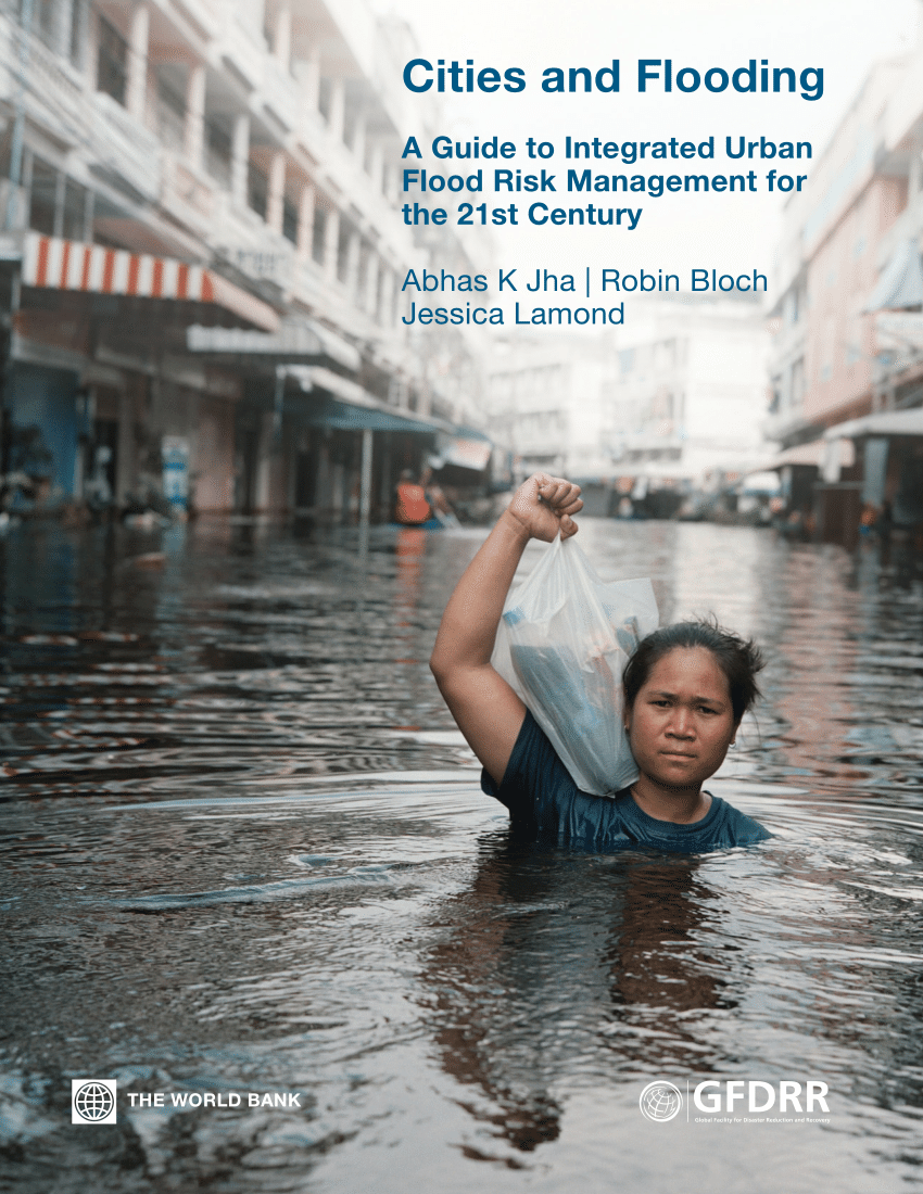 thesis on flood management