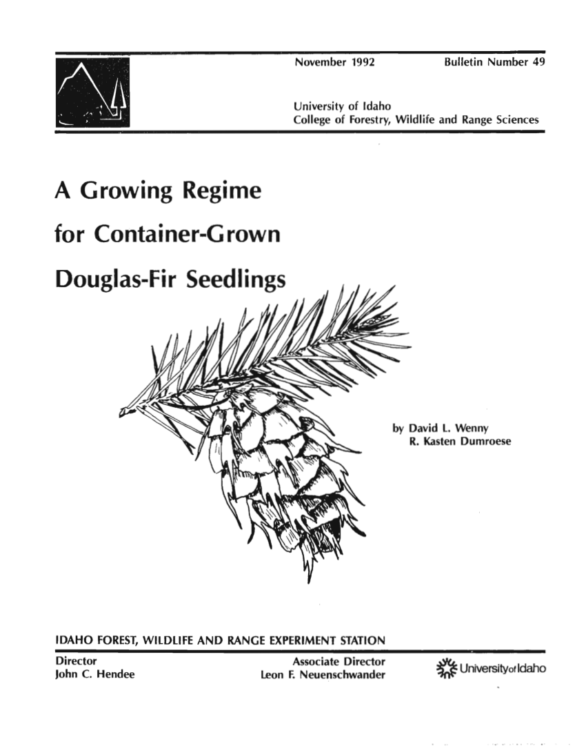 douglas fir seedlings bulk