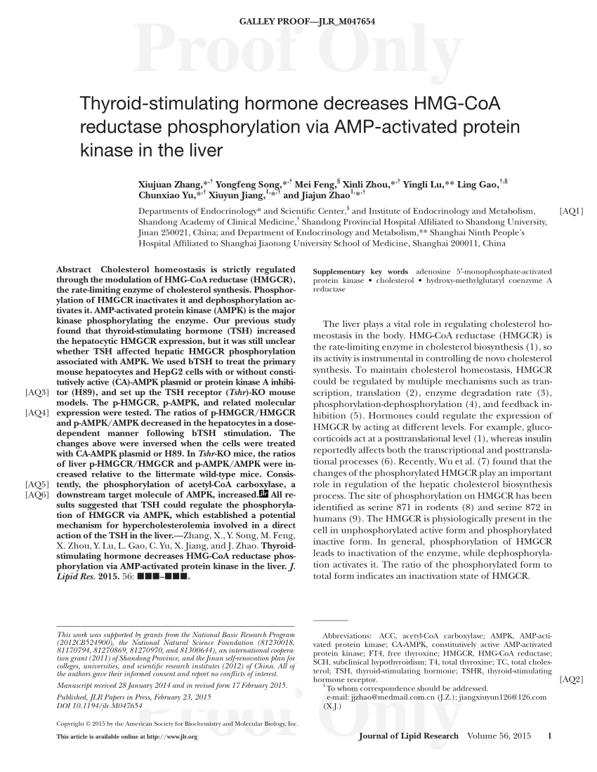 Pdf Thyroid Stimulating Hormone Decreases Hmg Coa Reductase Phosphorylation Via Amp Activated Protein Kinase In The Liver