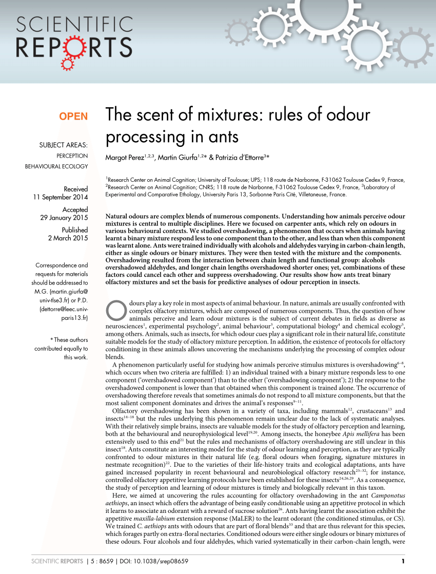 PDF) The scent of mixtures: Rules of odour processing in ants