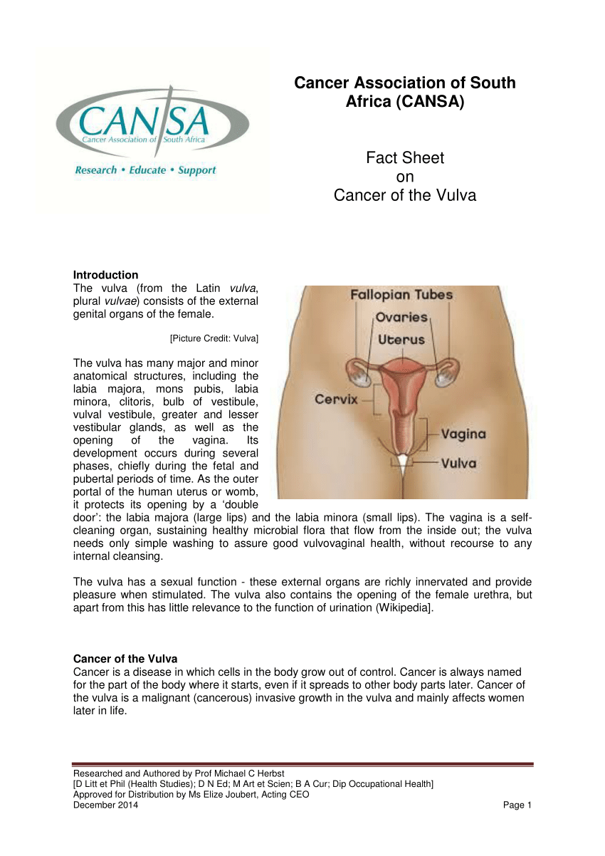PDF) Fact Sheet on Cancer of the Vulva