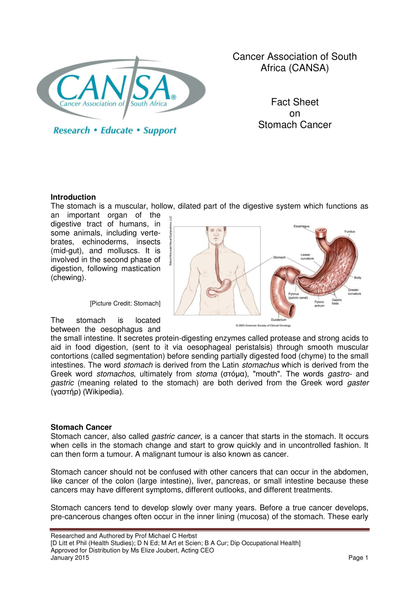 research paper on stomach cancer