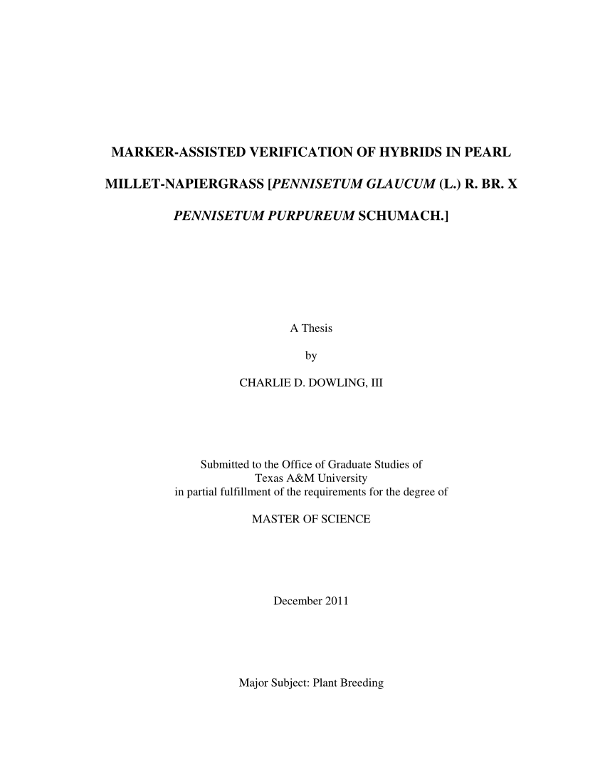 full master thesis pdf