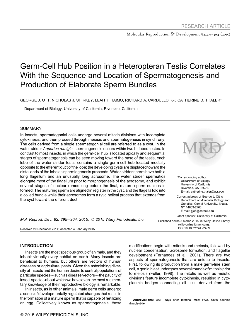 PDF) Germ-cell hub position in a heteropteran testis correlates ...