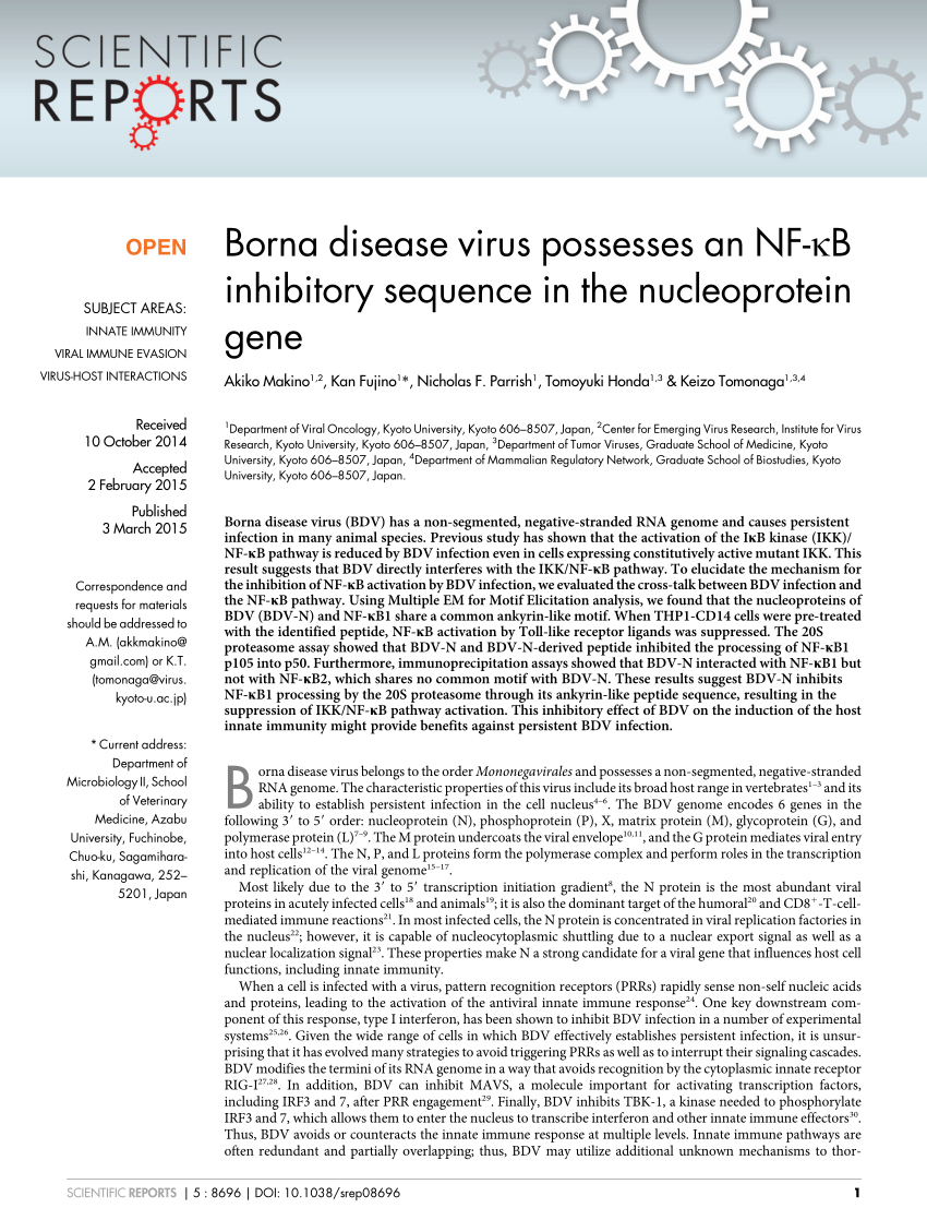 PDF) Borna disease virus possesses an NF- B inhibitory sequence in ...